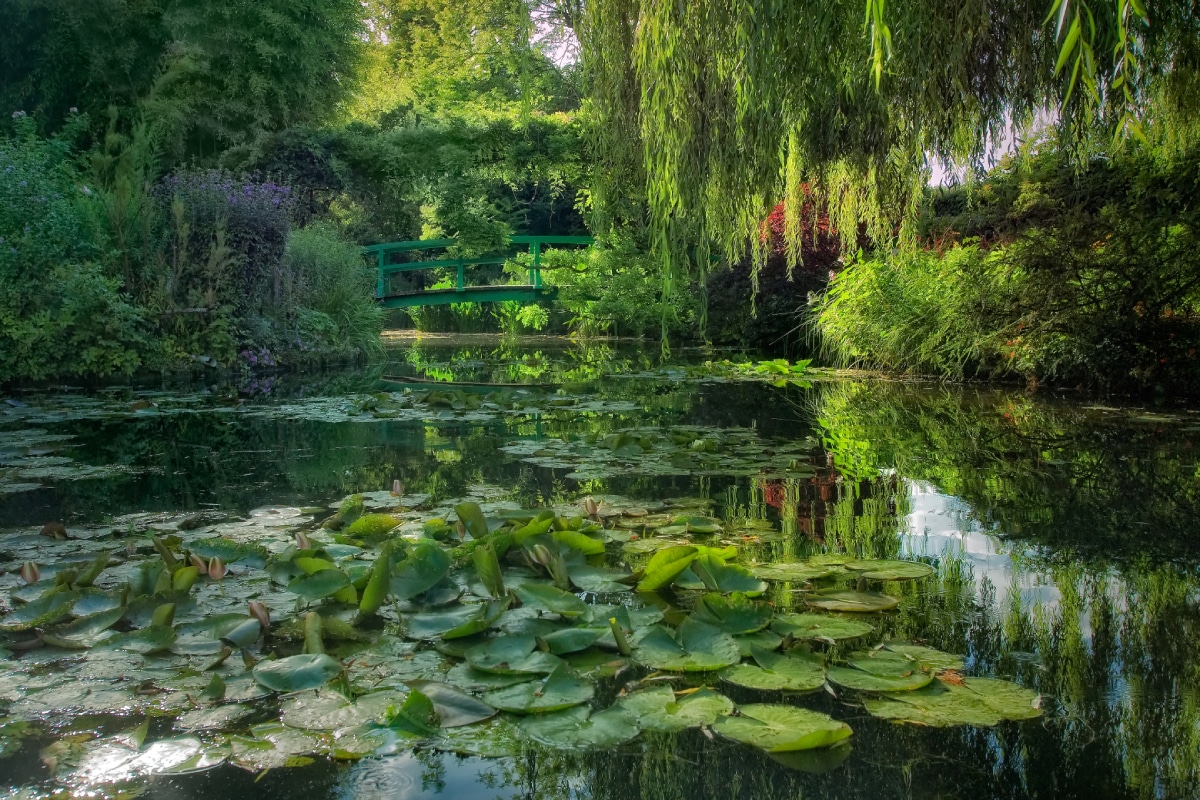 Casa y jardines de Monet en Giverny. Detalle del estanque.
