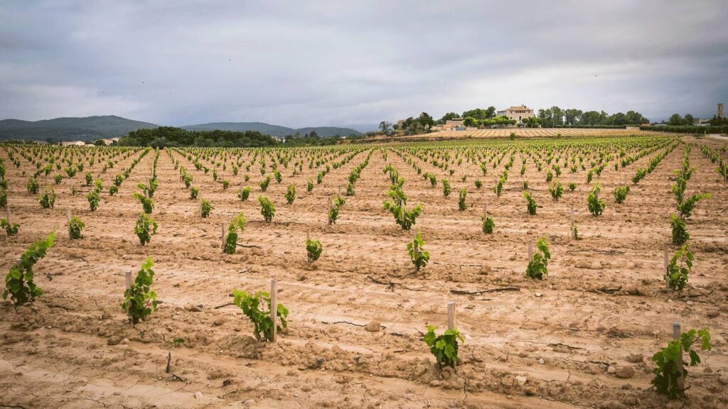 El Castell de la Bleda, construido sobre un asentamiento i´bero y romano