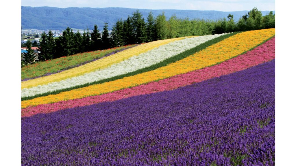 Explorando Hokkaido, la isla de la naturaleza de Japón