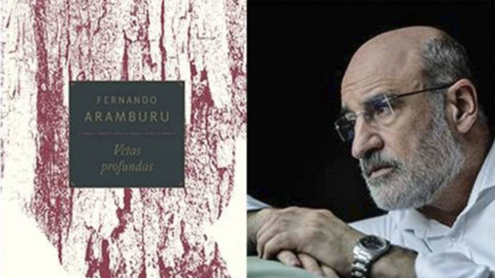 Fernando Aramburu rinde homenaje a la poesía con su libro 'Vetas profundas'