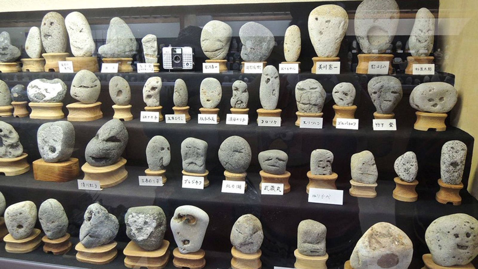 Las piedras tienen ojos (y boca)