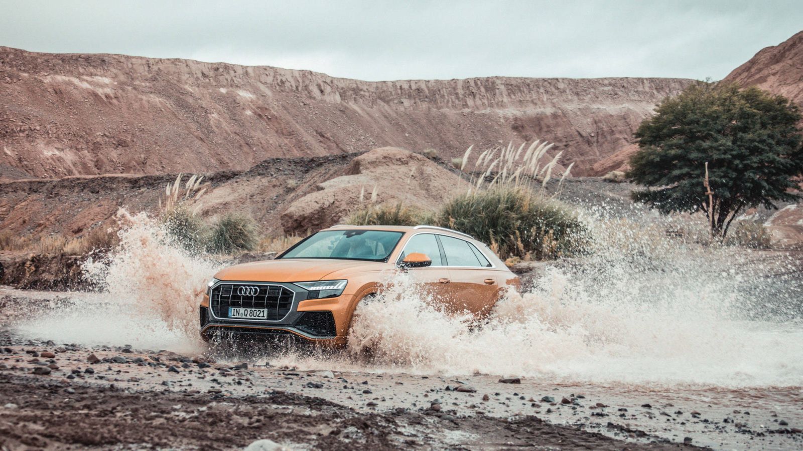 Llega el nuevo Audi Q8: rasgos coupé y la polivalencia del SUV