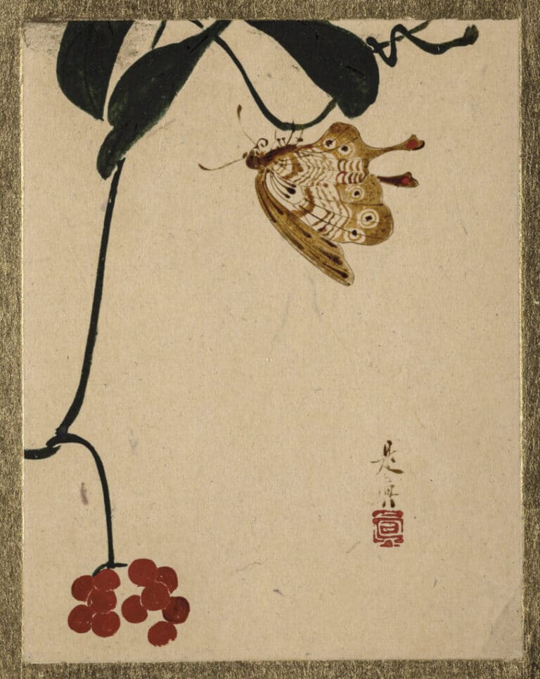 Shibata Zeshin. Frutos del bosque y mariposa (siglo XIX).