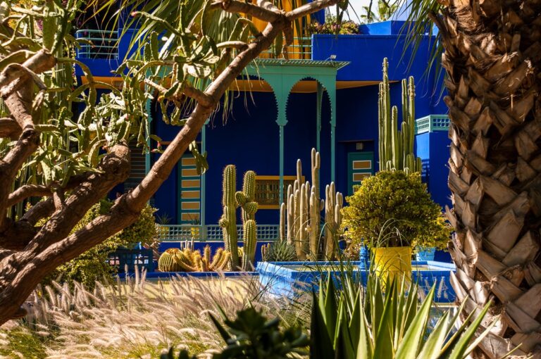 Jardindes de Jacques Majorelle, en Marrakech.