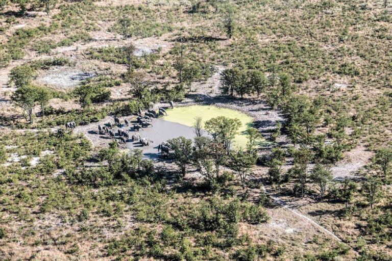 Vista área del delta de Okawango.