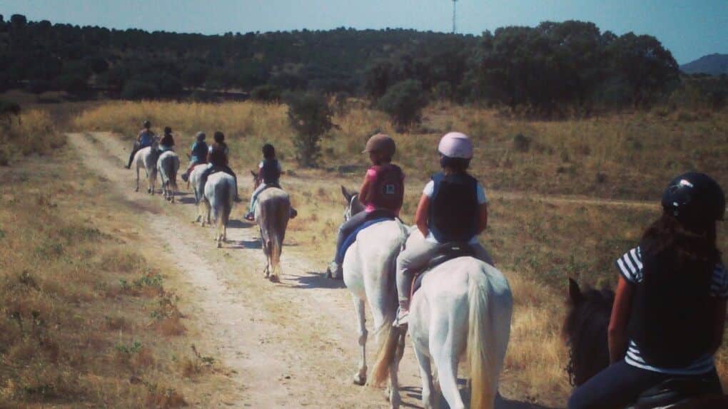 Equitación para principiantes: dónde y cómo aprender a montar