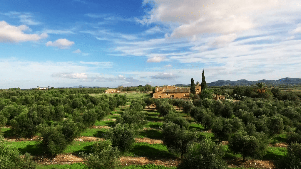 Finca de Aubocassa en Manacor (Mallorca)