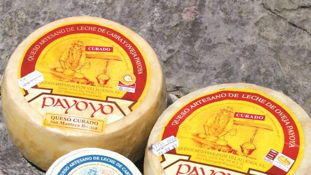 Payoyo: el queso de moda viene envuelto en polémica