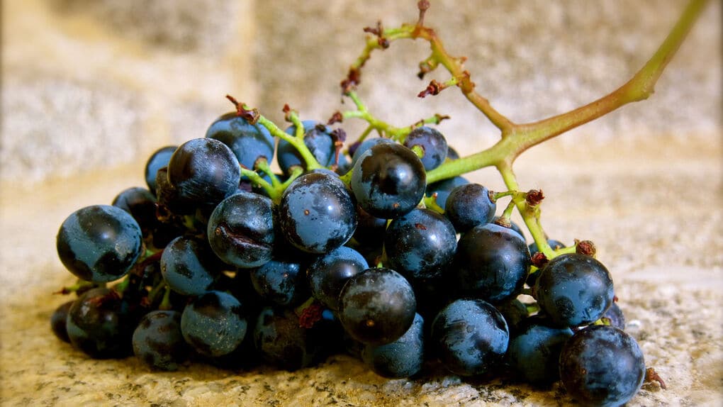 ‘La Roja’ de los vinos gallegos nace en el Ribeiro
