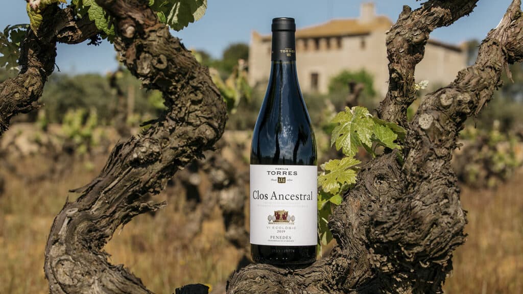 Clos Ancestral 2020 de Familia Torres obtiene medalla de oro en el International Wine Challenge