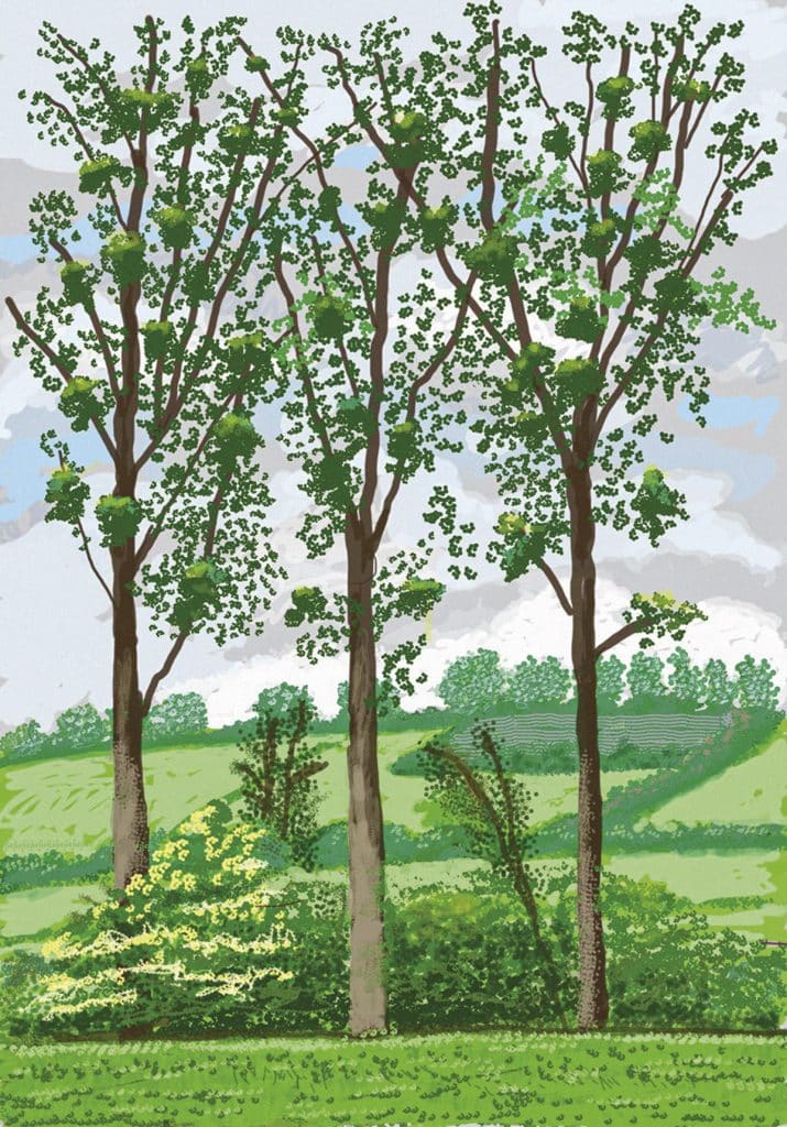 Pintura ´Nº 299´, por David Hockney.