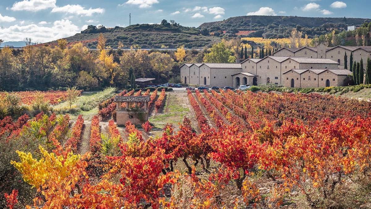 Marqués de Murrieta Reserva, un vino icónico situado entre los mejores del mundo