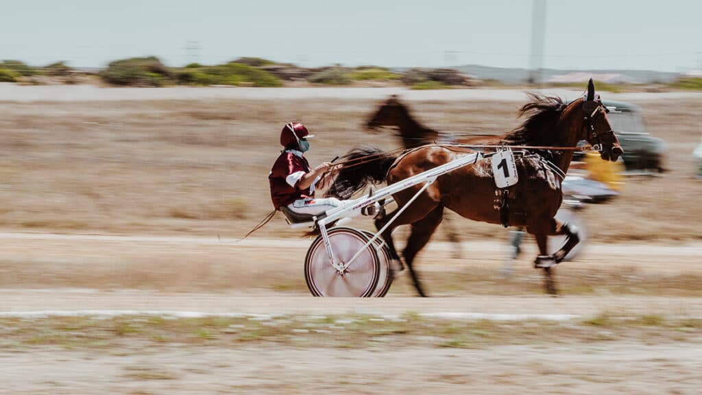 Elegancia estival en la última edición de Hats & Horses en Menorca