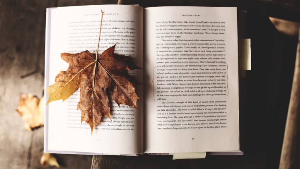 Seis novedades literarias para disfrutar y relajarse en otoño