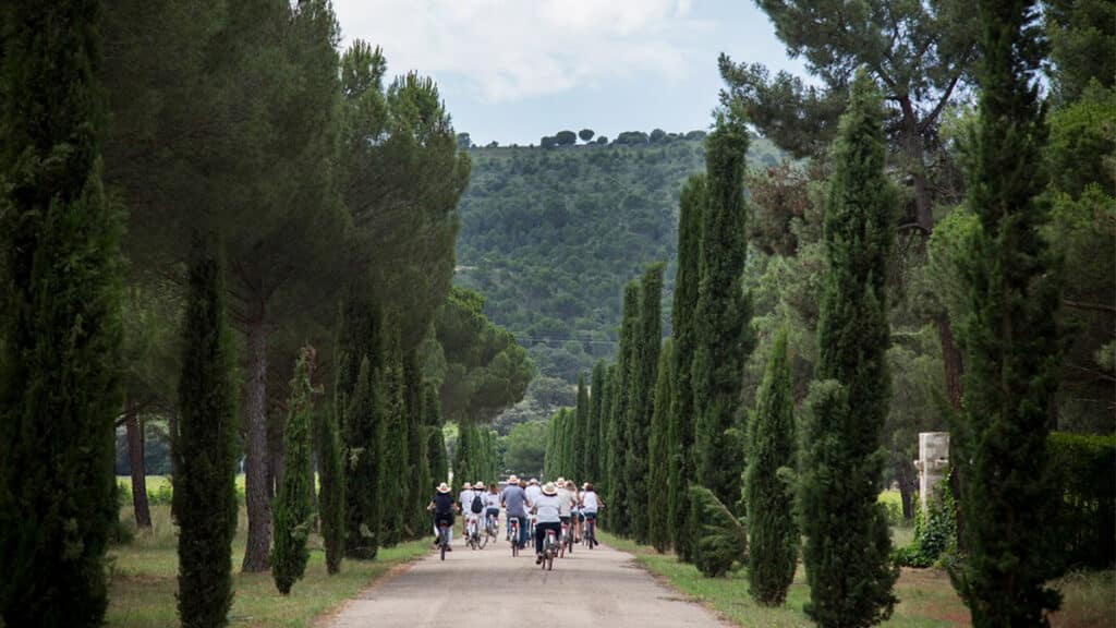 Reconocer la excelencia: Finca Villacreces, la nueva generación de la sostenibilidad vinícola