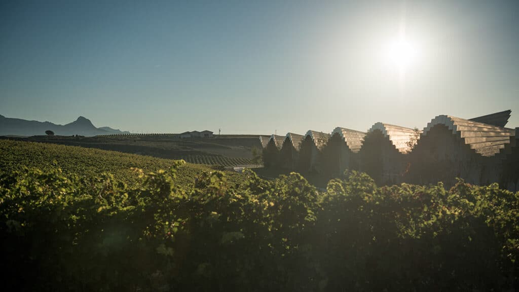 Ysios Finca El Nogal, la expresión más singular del terroir de Rioja Alavesa