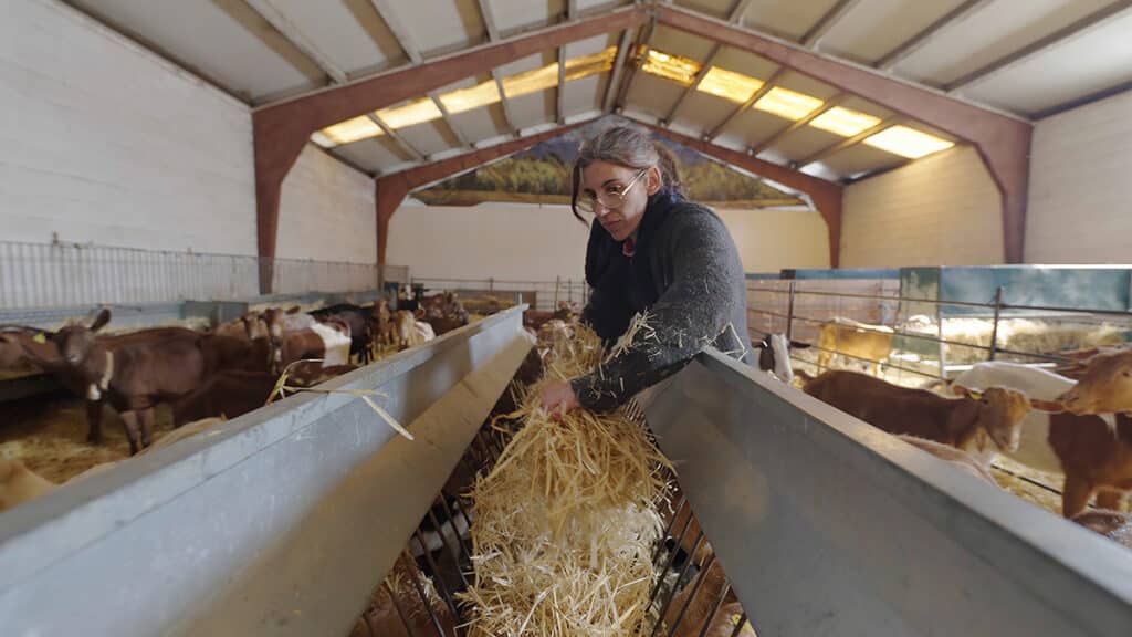 Alicia Fernández regenta la ganadería de la quesería Roca de Cabra. 