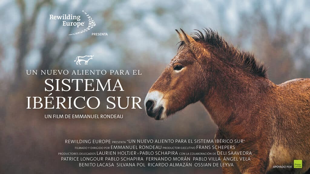 Documental sobre la iniciativa Rewilding Spain, apoyada por Cartier for Nature. 