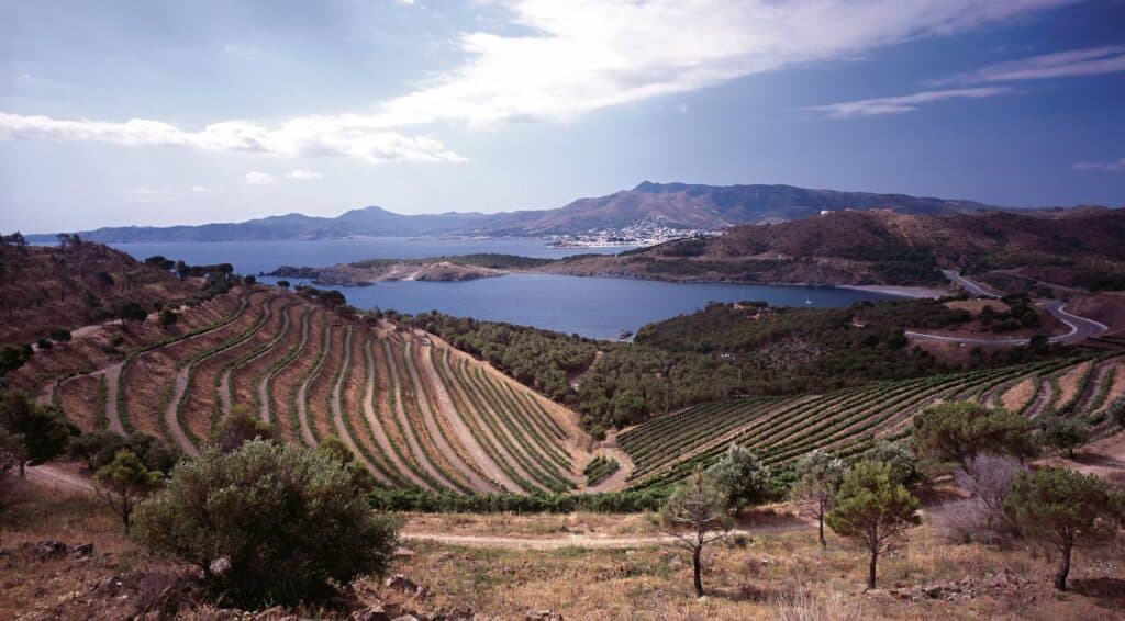 El encuentro para poner en valor la calidad de los vinos mediterráneos 2 Perelada 1