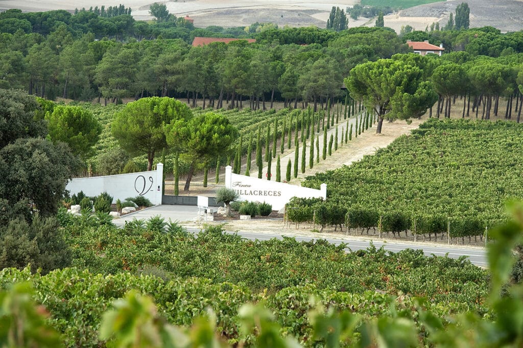 Viñedo de Villacreces.