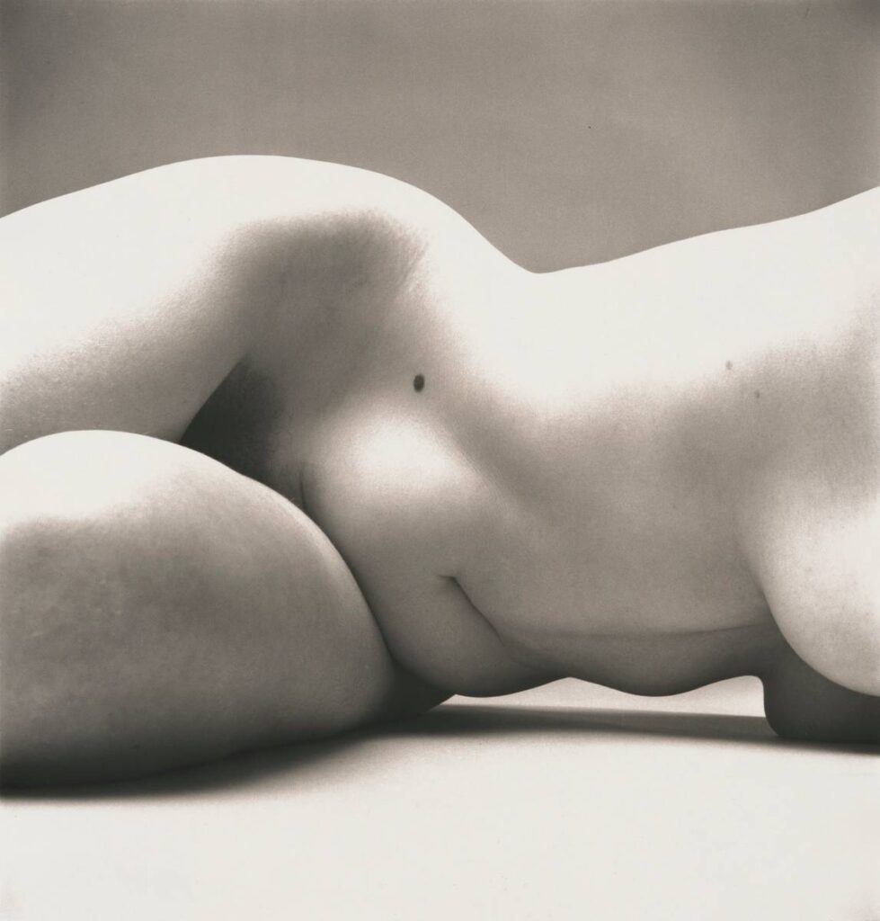 Nude No. 72, Nueva York, 1949-1950. Fotografía de Irving Penn.