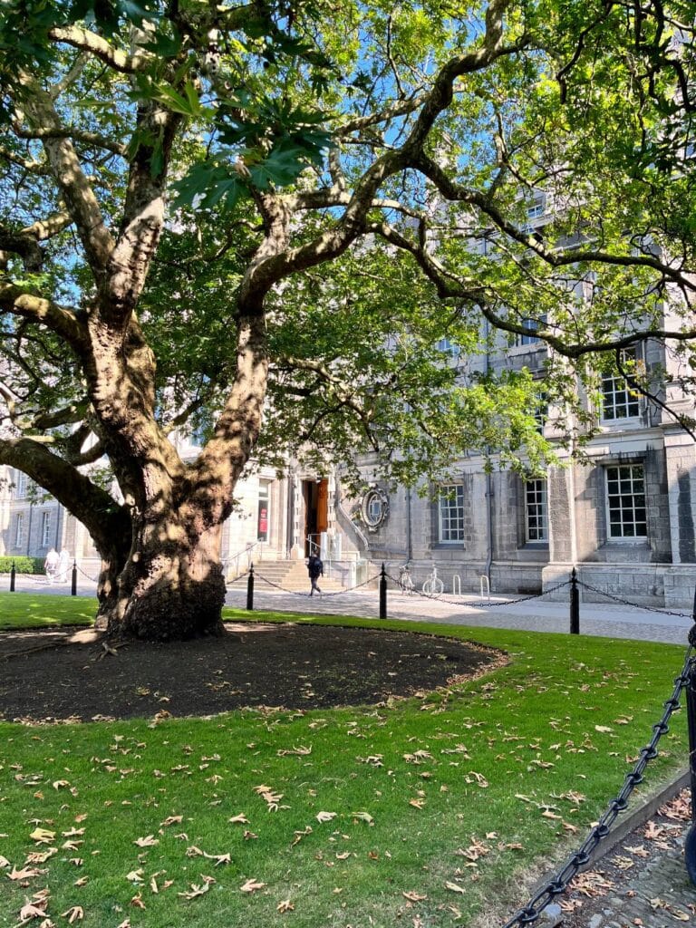 Trinity College Dublin ©Failte Ireland