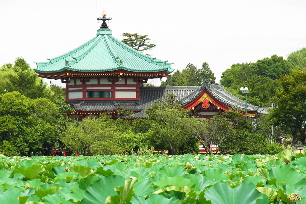 Ueno Park en Tokio.