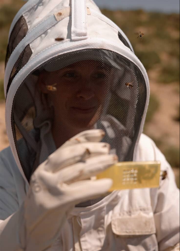 Abejas del Moncayo gana el Proyecto Bardos 2025 por su defensa de la apicultura sostenible 2 Abejas del Moncayo gana el Proyecto Bardos 2025 por su defensa de la apicultura sostenible.
