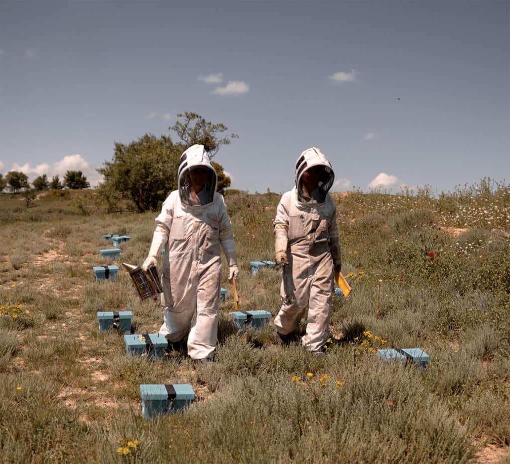 Abejas del Moncayo gana el Proyecto Bardos 2025 por su defensa de la apicultura sostenible 3 Abejas del Moncayo gana el Proyecto Bardos 2025 por su defensa de la apicultura sostenible.