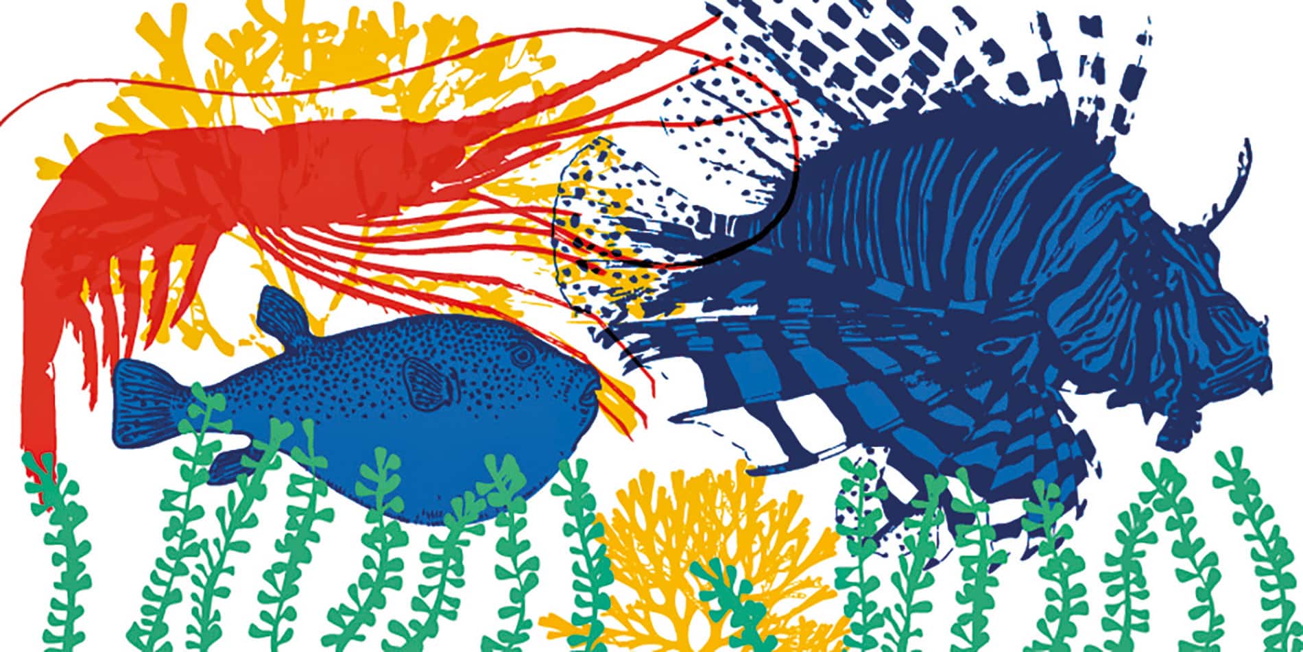 Agenda nacional: propuestas culturales en todos los rincones del país 1 Exposición 'Especies invasoras' en el Museo Marítimo de Barcelona.