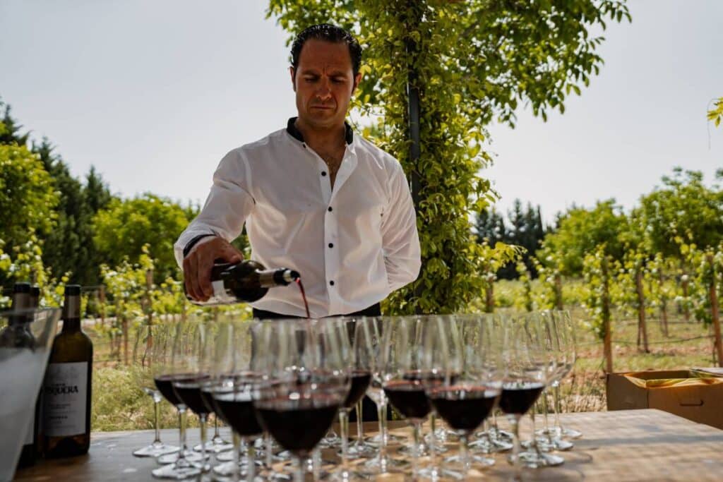 Cinco bodegas y más de 700 personas reunidas en El Día V: una experiencia enoturística sin igual 2 DíaV 2025 en Ribera del Duero.