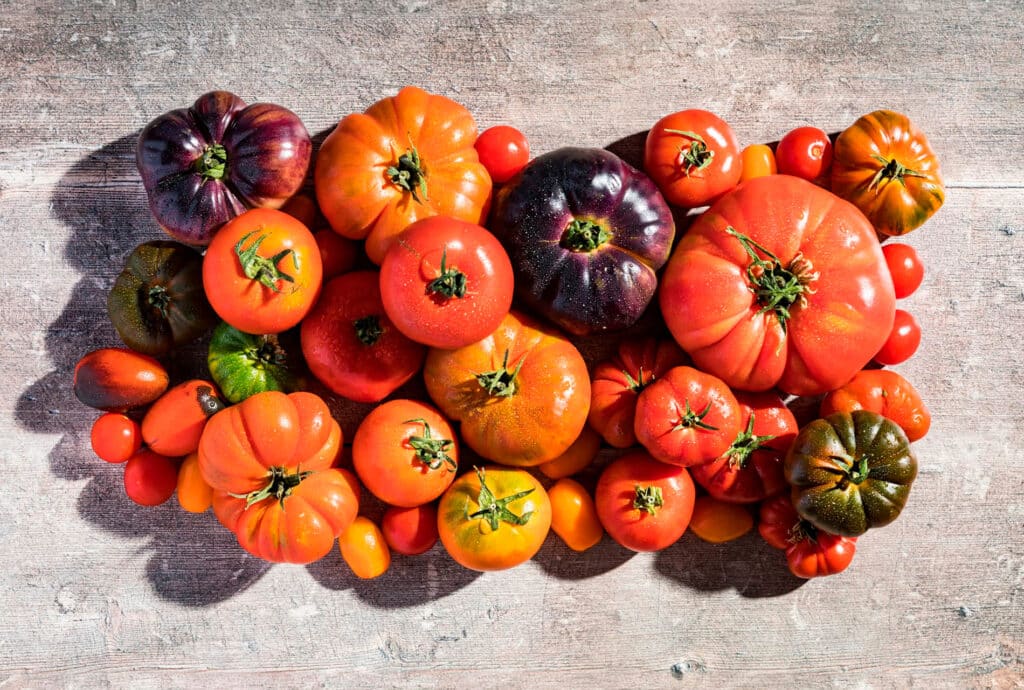 Surtido de tomates de diversas variedades.