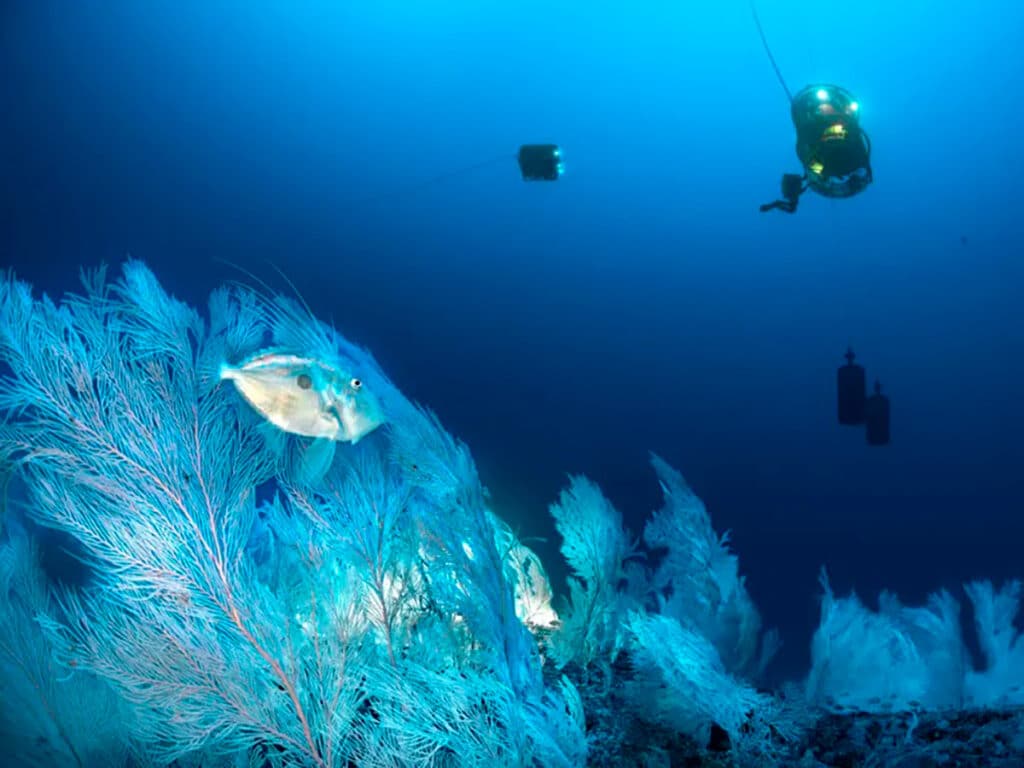 Blancpain: más de 20 años de compromiso con el océano.