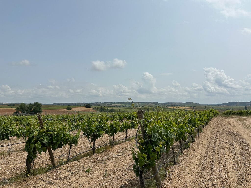 Bodegas Valparaíso: 25 años de alma, tierra y vino en el corazón de la Ribera del Duero 3 Bodegas Valparaíso: 25 años de alma, tierra y vino en el corazón de la Ribera del Duero.
