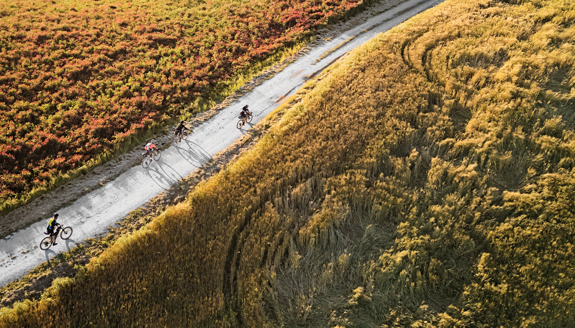 Recorrido del Tuscany Trail, una aventura de gravel de 440 kilómetros.
