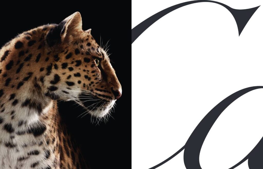 Cartier lanza una campaña global para celebrar el estilo de la Pantera.