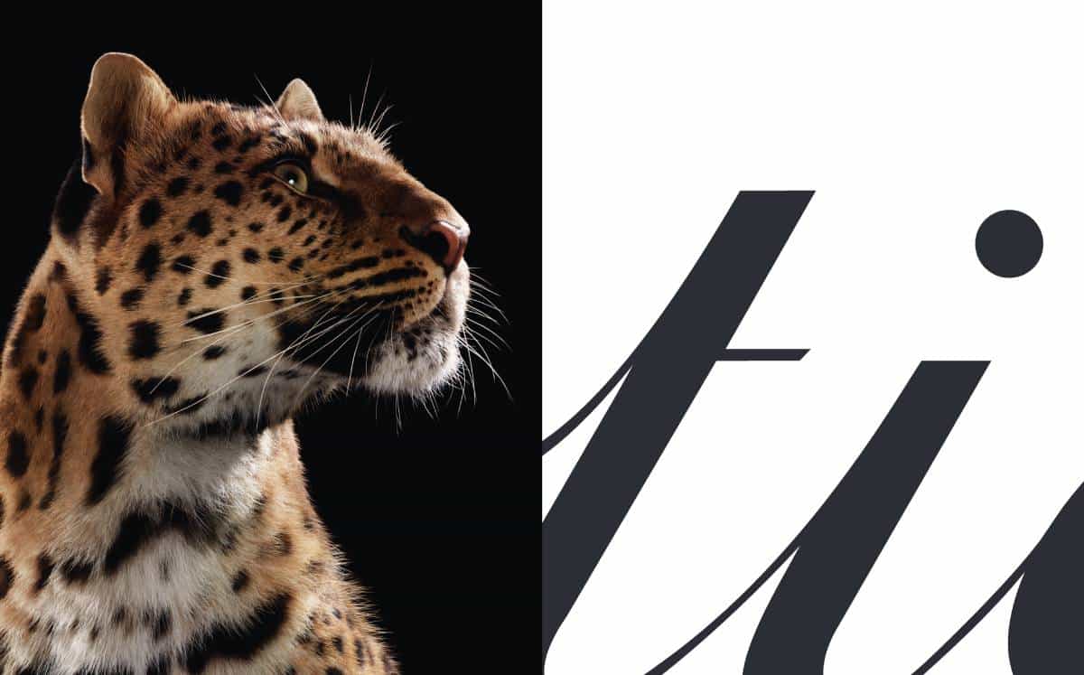 Cartier lanza una campaña global para celebrar el estilo de la Pantera.