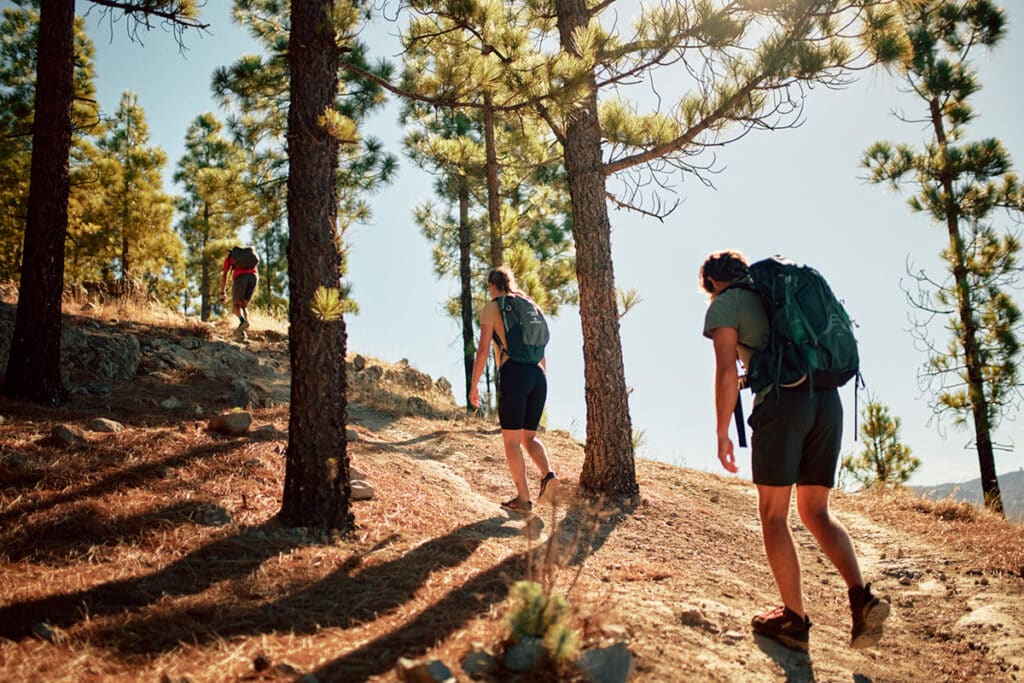 Gran Canaria Walking Festival 2025.