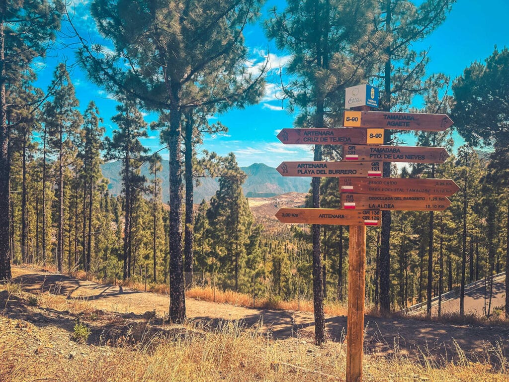 Gran Canaria Walking Festival 2025.