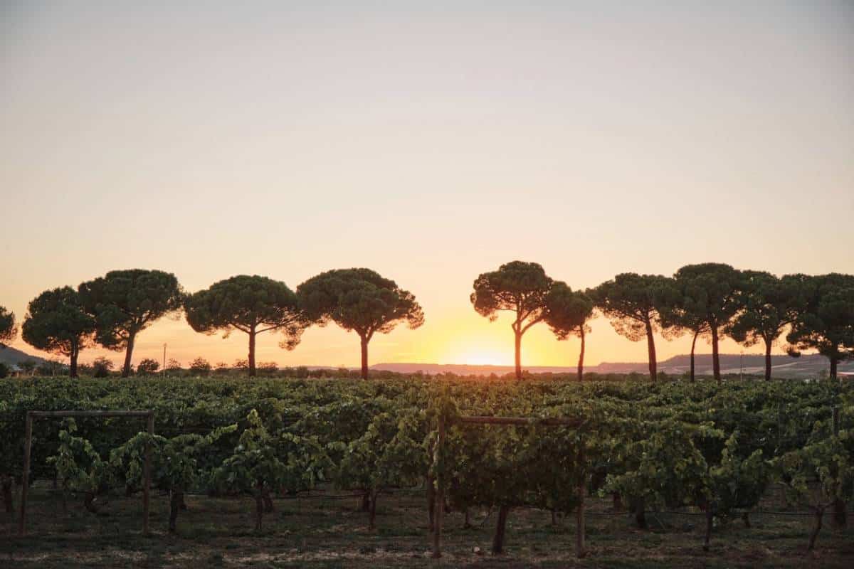 Villacreces Sunset 2025.