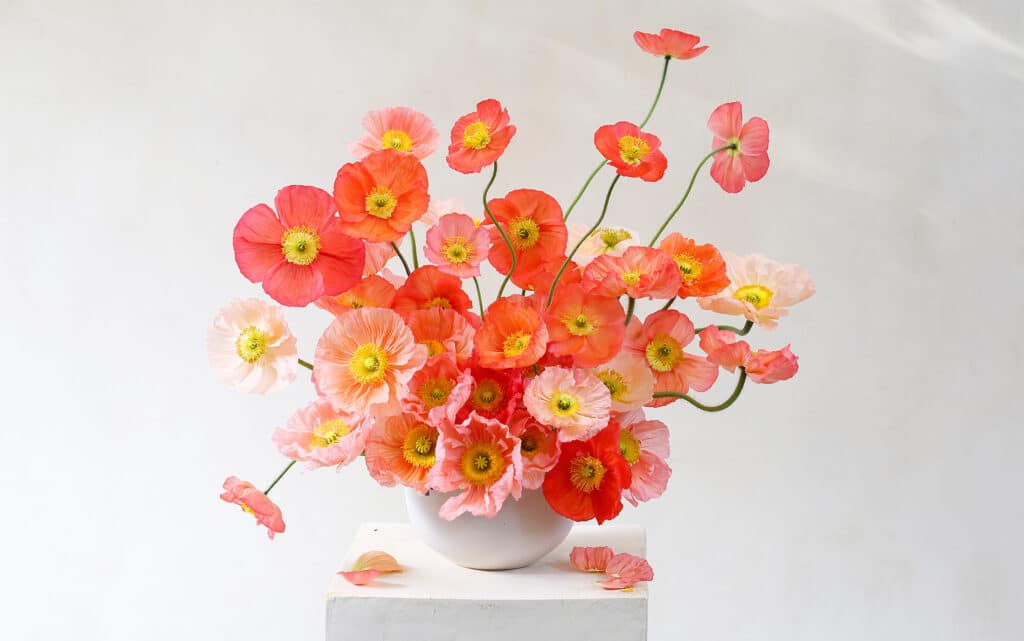 Obra de La Musa de las Flores para FLORA 2025.