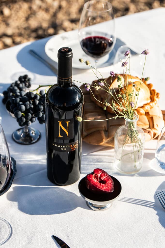 Bodega Numanthia, referente de la Denominación de Origen Toro.