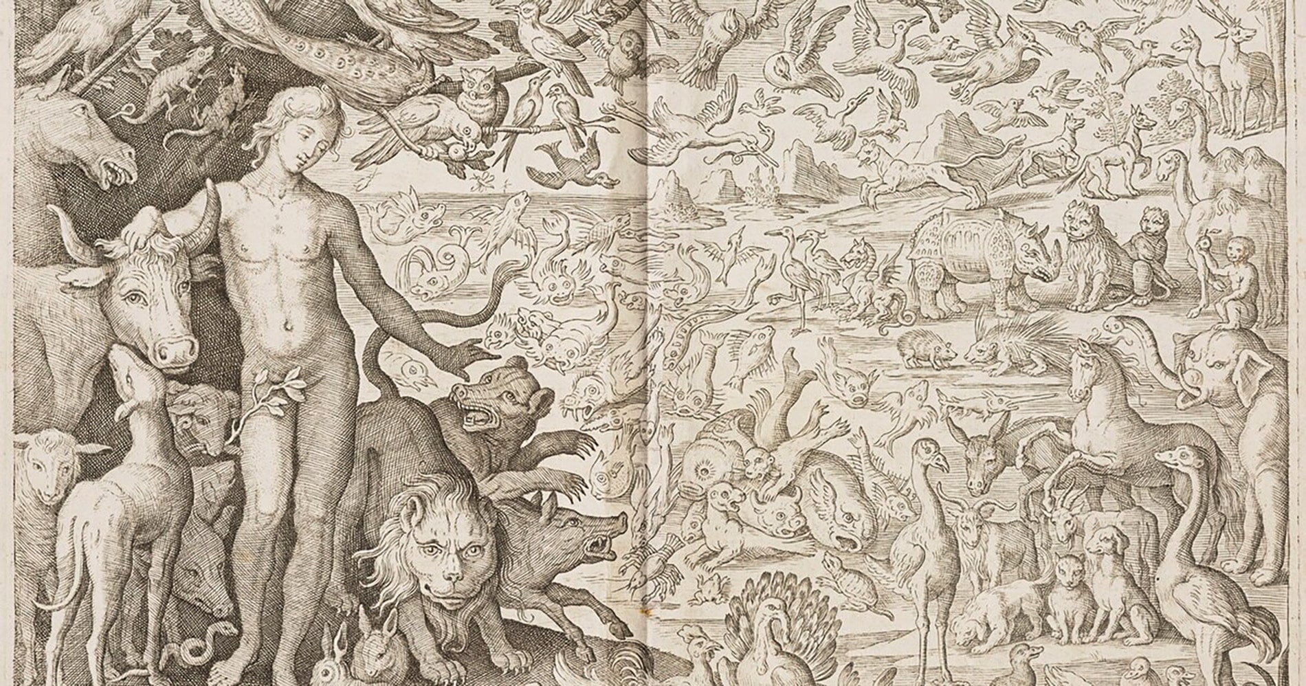 Exposición Ilustración animal en Europa, 1550-1750.