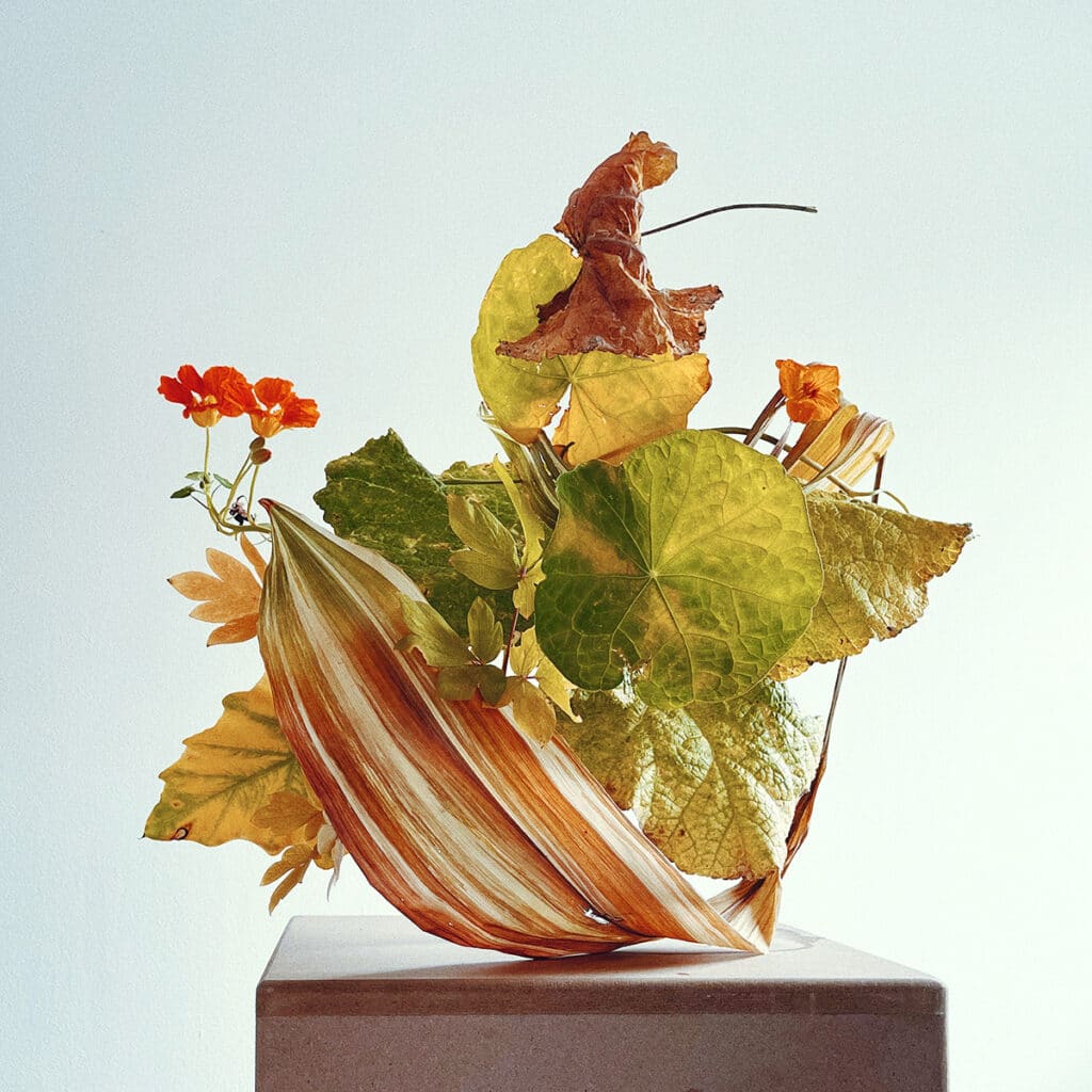 Obra de Wagner Kreusch para FLORA 2025.