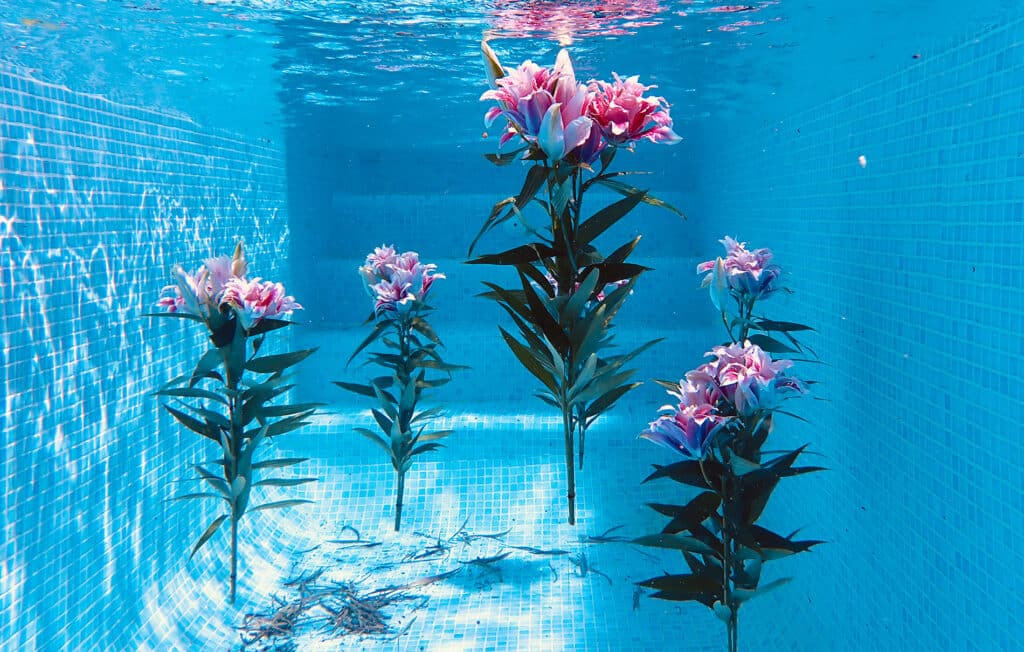 Obra de Ikefrana para FLORA 2025.