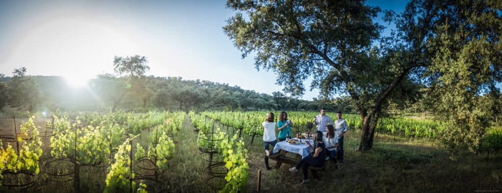 La Melonera, una bodega familiar de la Axarquía.