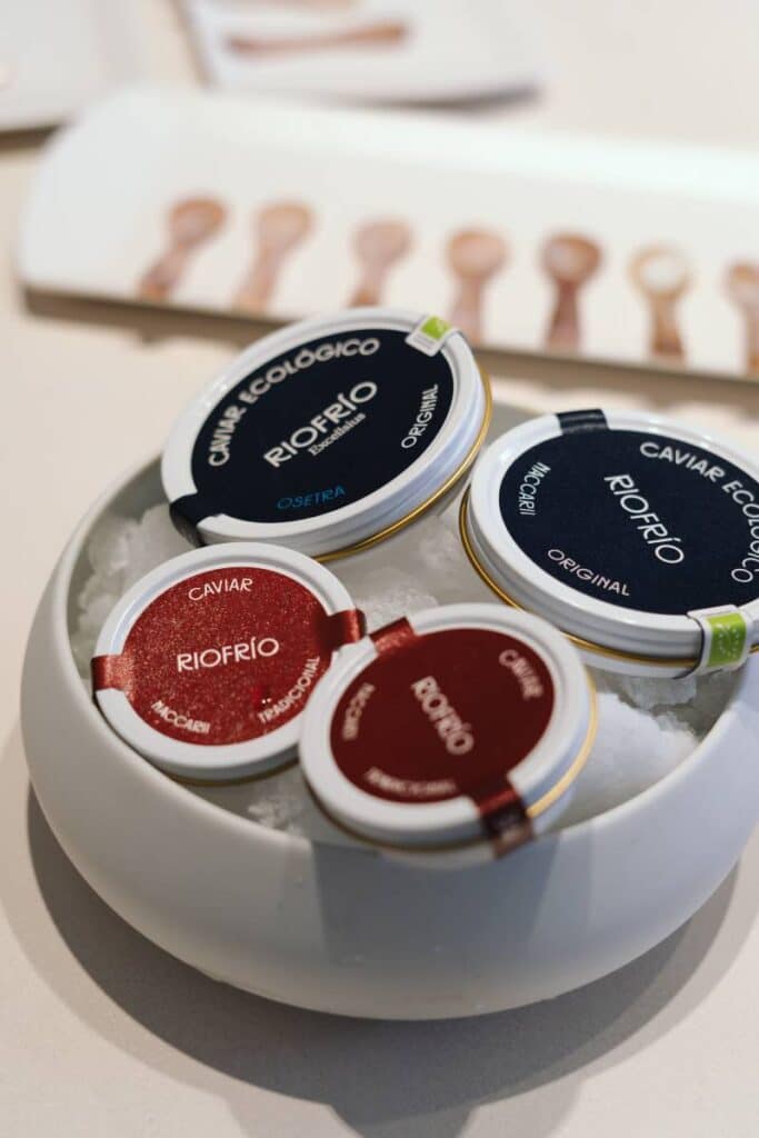 Restaurante TATEL Madrid