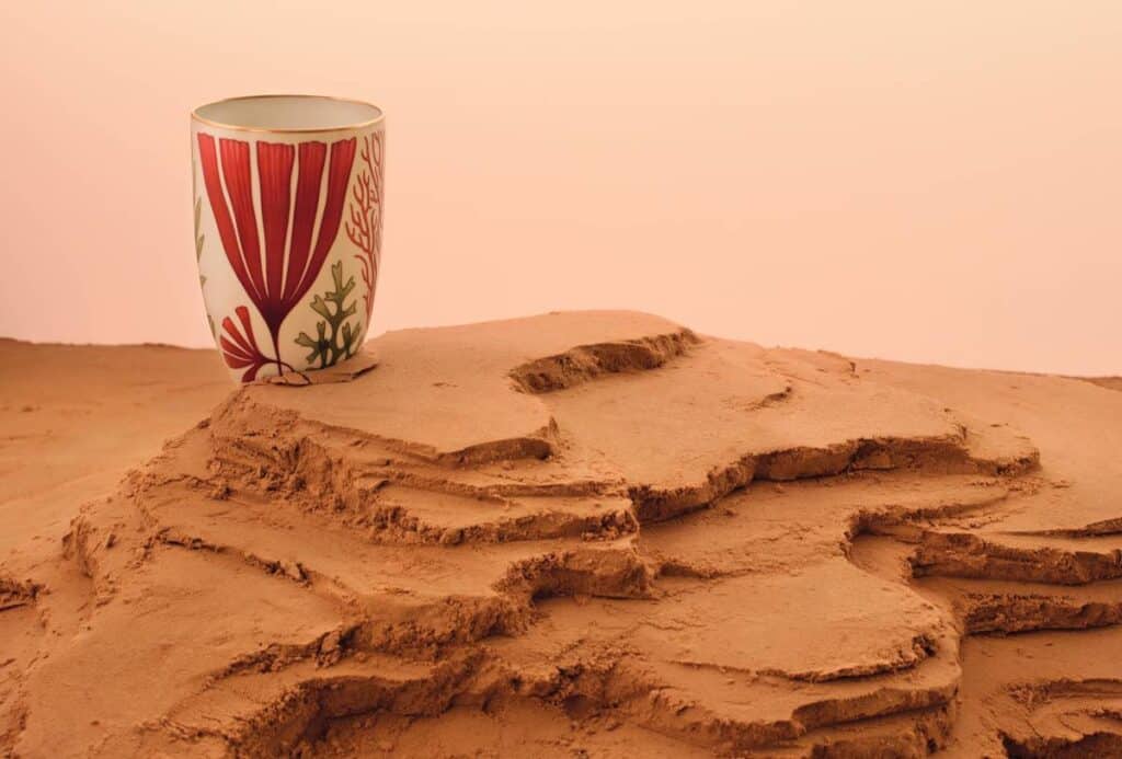 Colección de vajilla Natures Marines de porcelana.