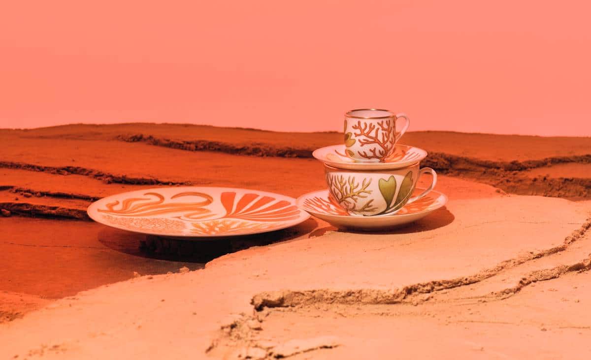 Colección de vajilla Natures Marines de porcelana.