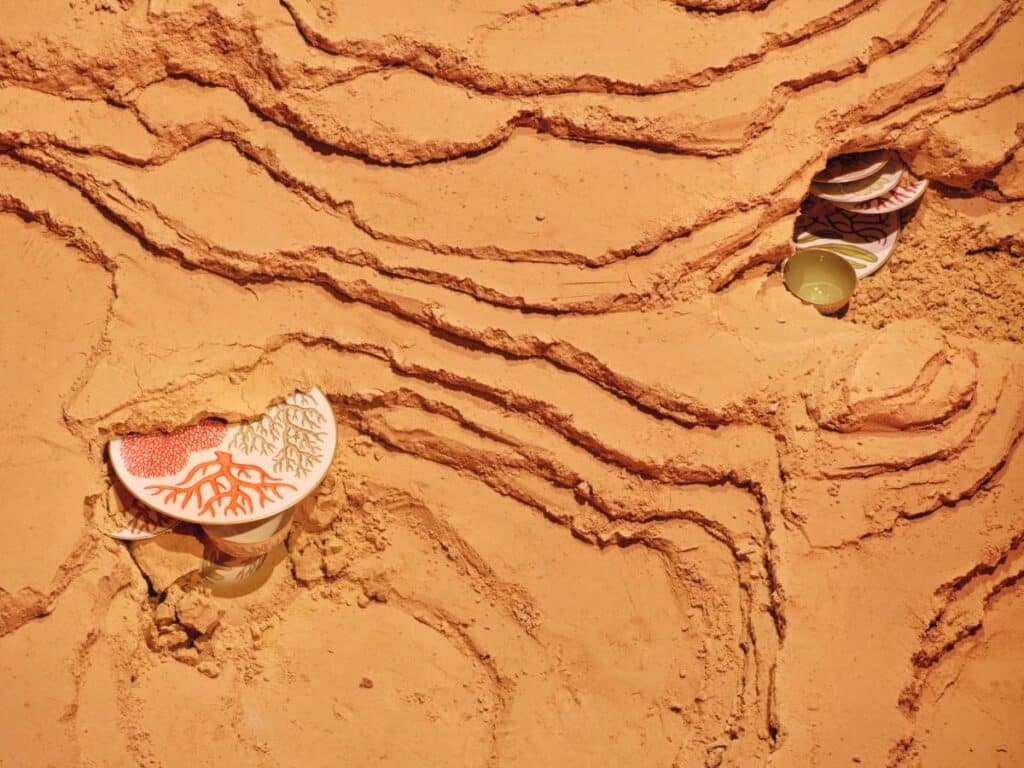 Colección de vajilla Natures Marines de porcelana.